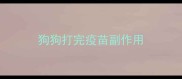 狗狗打完疫苗副作用