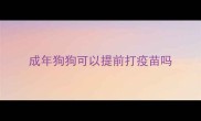 成年狗狗可以提前打疫苗吗