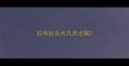 拉布拉多犬几天出窝