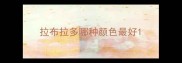 拉布拉多哪种颜色最好