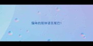 猫咪的肢体语言尾巴