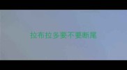 拉布拉多要不要断尾