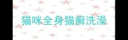 猫咪全身猫癣洗澡
