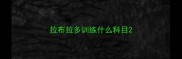 拉布拉多训练什么科目
