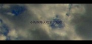 小狗狗每天吃多少狗粮