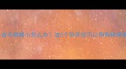 拉布拉多金毛眼睛小怎么办这5个饲养技巧让狗狗眼神更灵动