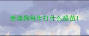 泰迪狗每年打什么疫苗