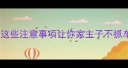 猫咪坐车新手必看这些注意事项让你家主子不抓车不抓抱安全又安心