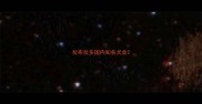 拉布拉多国内知名犬舍