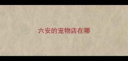 六安的宠物店在哪