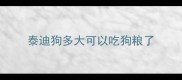 泰迪狗多大可以吃狗粮了