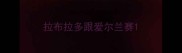 拉布拉多跟爱尔兰赛