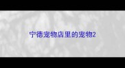 宁德宠物店里的宠物