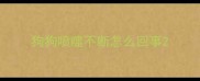 狗狗喷嚏不断怎么回事