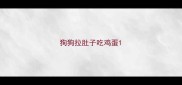 狗狗拉肚子吃鸡蛋