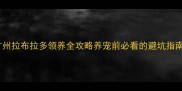 广州拉布拉多领养全攻略养宠前必看的避坑指南