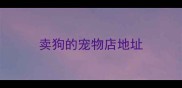 卖狗的宠物店地址
