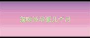 猫咪怀孕要几个月