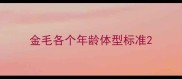金毛各个年龄体型标准
