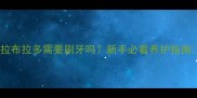 拉布拉多需要刷牙吗新手必看养护指南