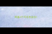 柯基3个月毛色发白