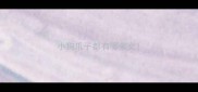 小狗爪子都有哪些文