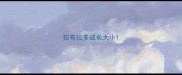 拉布拉多成长大小
