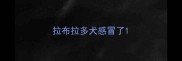 拉布拉多犬感冒了
