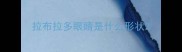 拉布拉多眼睛是什么形状