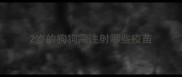 2岁的狗狗需注射哪些疫苗