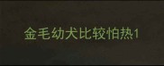 金毛幼犬比较怕热