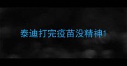 泰迪打完疫苗没精神