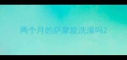 两个月的萨摩能洗澡吗