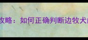 陨石边牧花色识别全攻略如何正确判断边牧犬的稀有花色与价值
