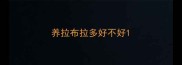 养拉布拉多好不好