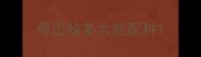母边牧多大能配种