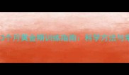 边境牧羊犬3个月黄金期训练指南科学方法与常见误区全