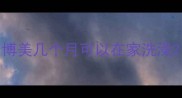 博美几个月可以在家洗澡