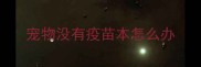 宠物没有疫苗本怎么办