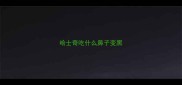 哈士奇吃什么鼻子变黑
