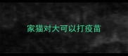 家猫对大可以打疫苗