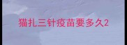 猫扎三针疫苗要多久