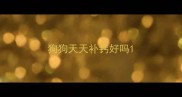 狗狗天天补钙好吗