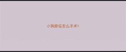 小狗脐疝怎么手术