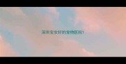 深圳宝安好的宠物医院