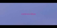 沙皮狗与哈士奇混血