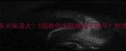 拉布拉多犬味道大5招教你告别臭狗子称号附清洁全攻略
