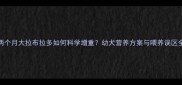 两个月大拉布拉多如何科学增重幼犬营养方案与喂养误区全