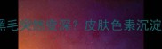 拉布拉多黑毛突然变深皮肤色素沉淀全攻略