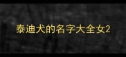 泰迪犬的名字大全女